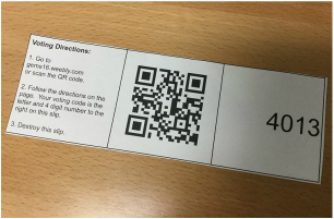 A sample voting slip with a PIN number for secure online voting. The codes we used also contained a letter.